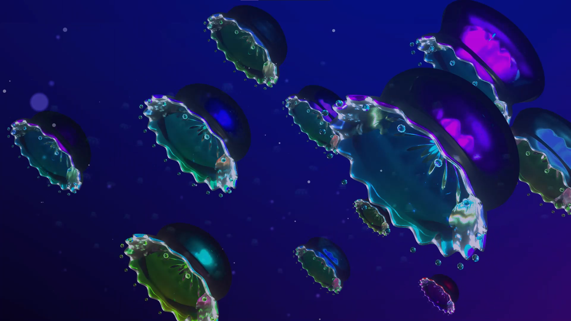 Jellyfish2_Mohan.png