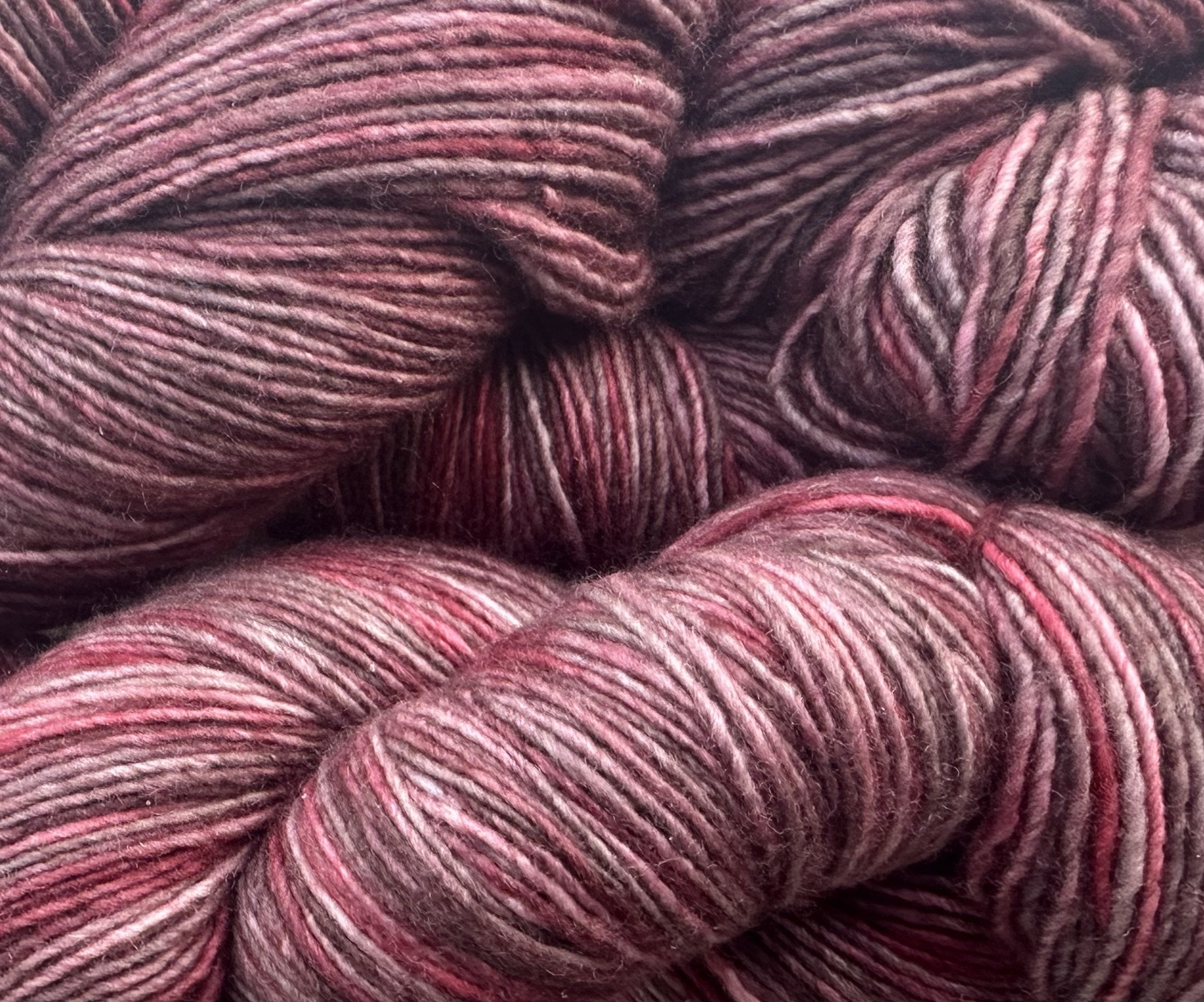 Wild Spring Cranberries2.jpeg