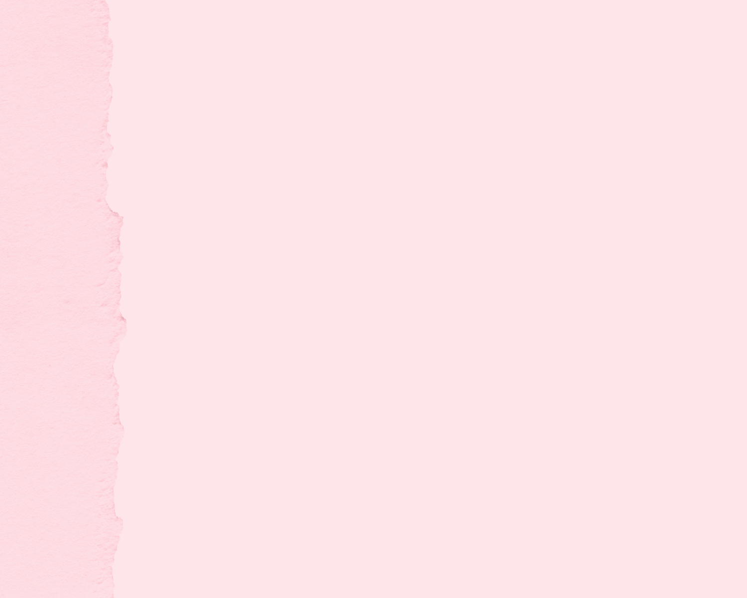Pink paper background for The Co