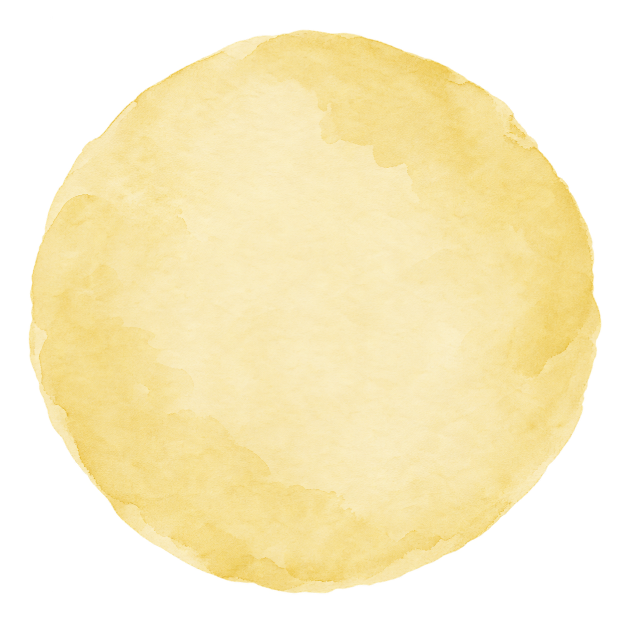 Yellow watercolor circle for The Co