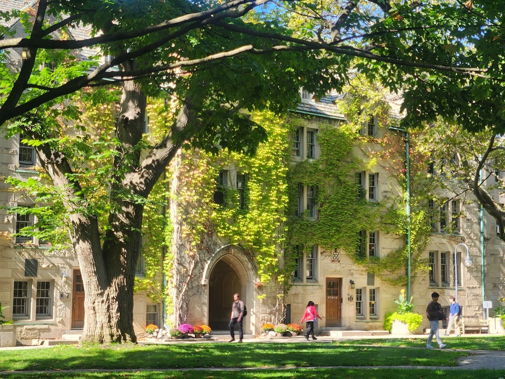 My view walking back from practicing every day 😁