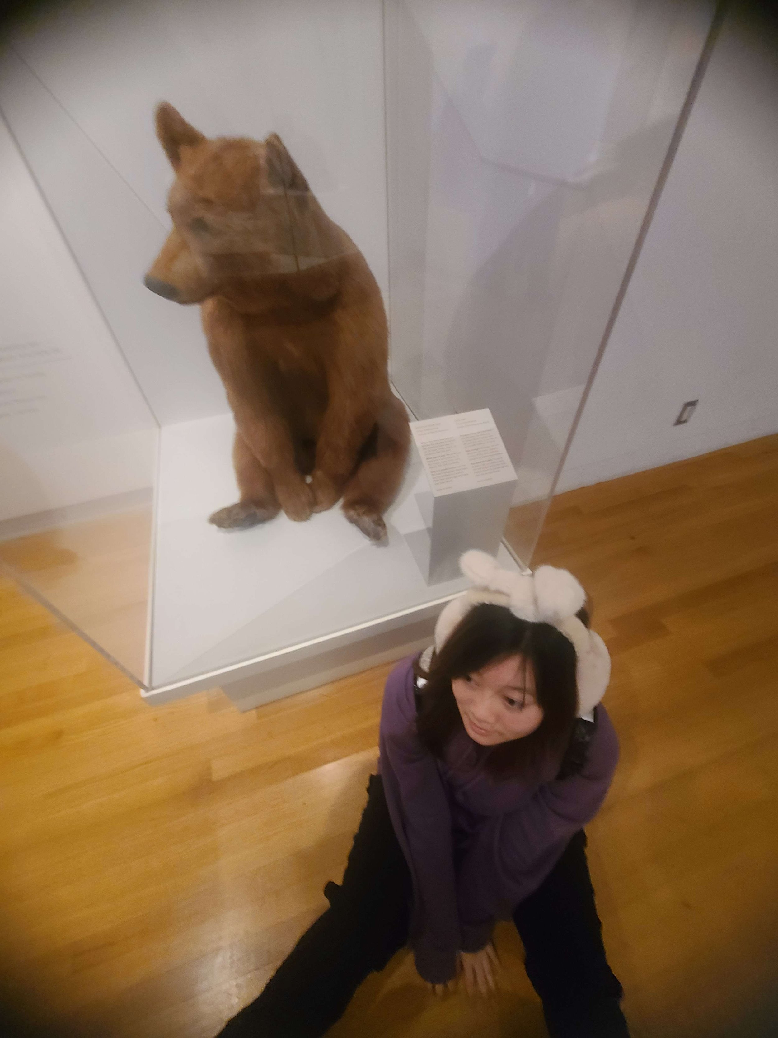 The genetic similarities between Amber and the Bear are remarkably alike.