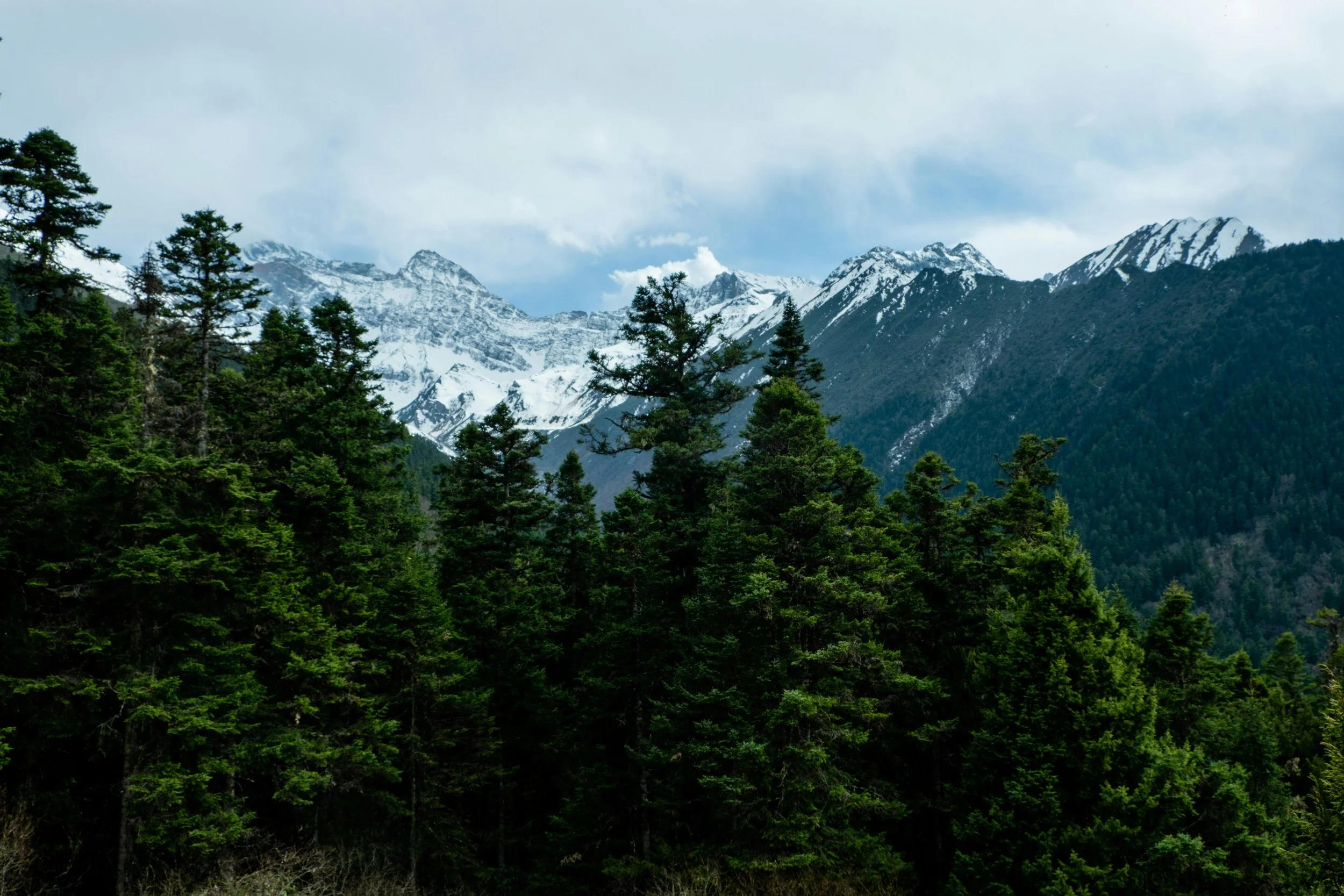 China Using Less Coal