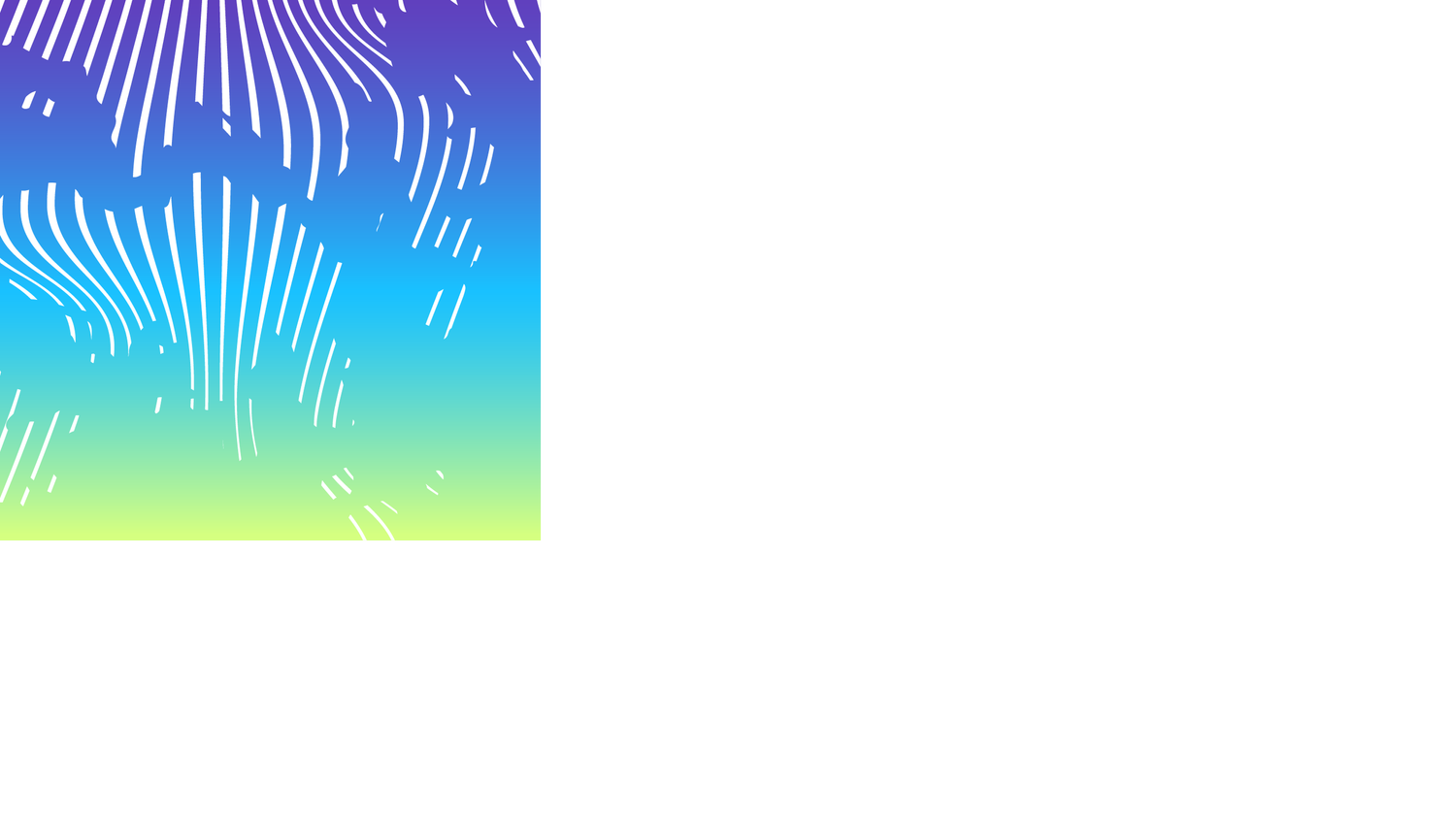 Web3 Harbour