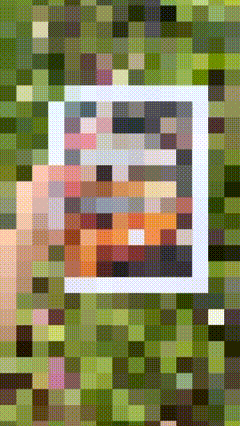 192B56E5-057C-4AF9-B705-CB05DB599A21.gif