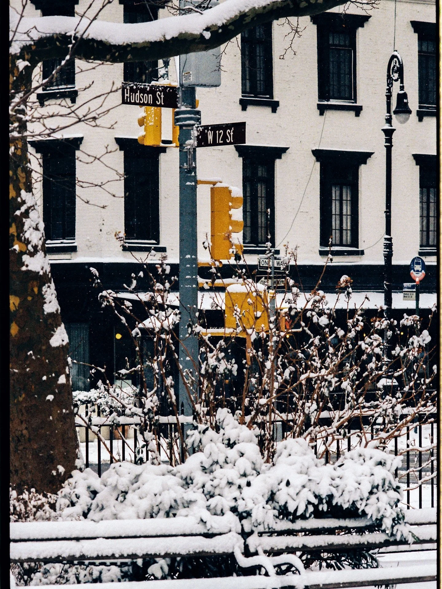 Downtown Snows.

Kodacolor 200 rated at iso 800,
Pushed 2.5 stops in development.