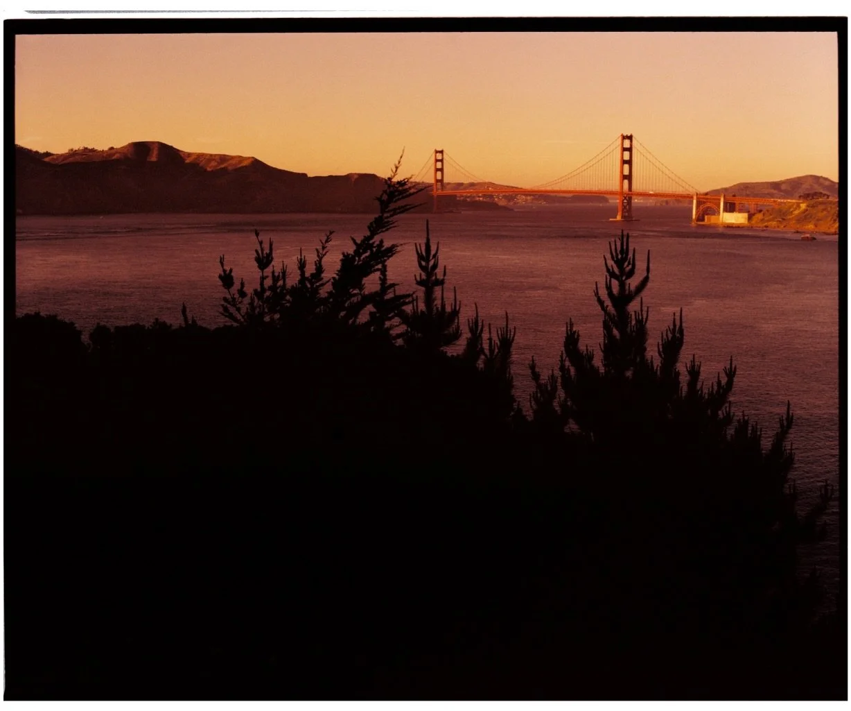 San Francisco. Half on film, half on phone. 

Big thanks to @thedarkroomlab &amp; @beersandcameras for bringing me back to the west coast. I need to visit more! 

Camera: Pentax 67 with 105mm f2.4
Film: Kodak Gold 200 @timryugo_kodak @kodak 
Phone: i