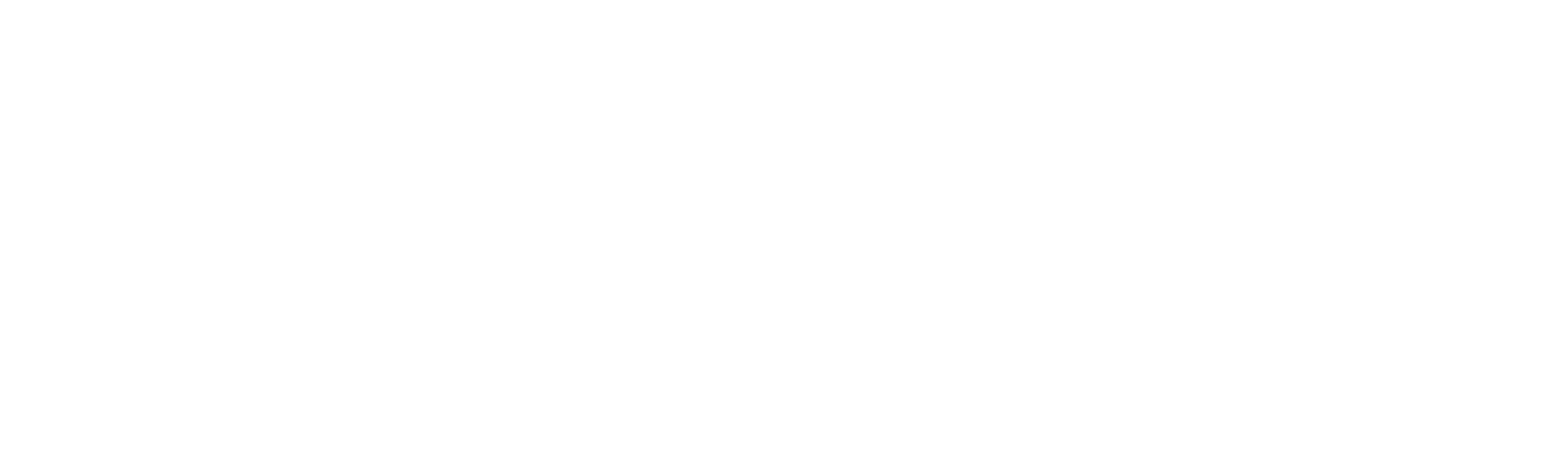 Prism systems logo white.png