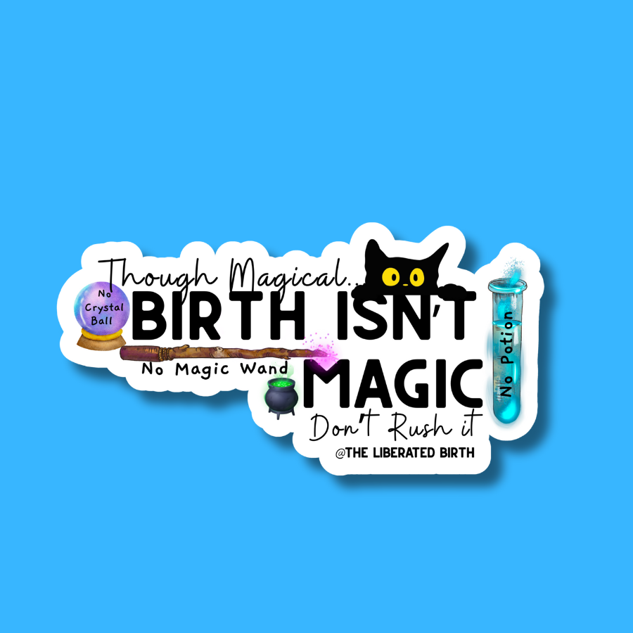 16.png