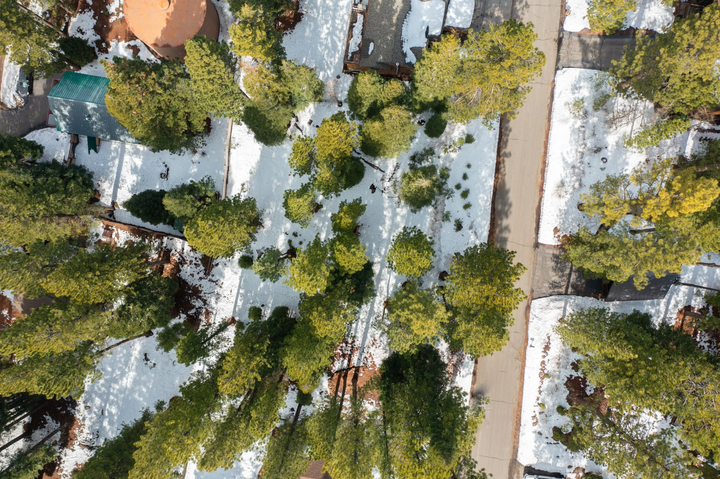 DJI_0503.jpg