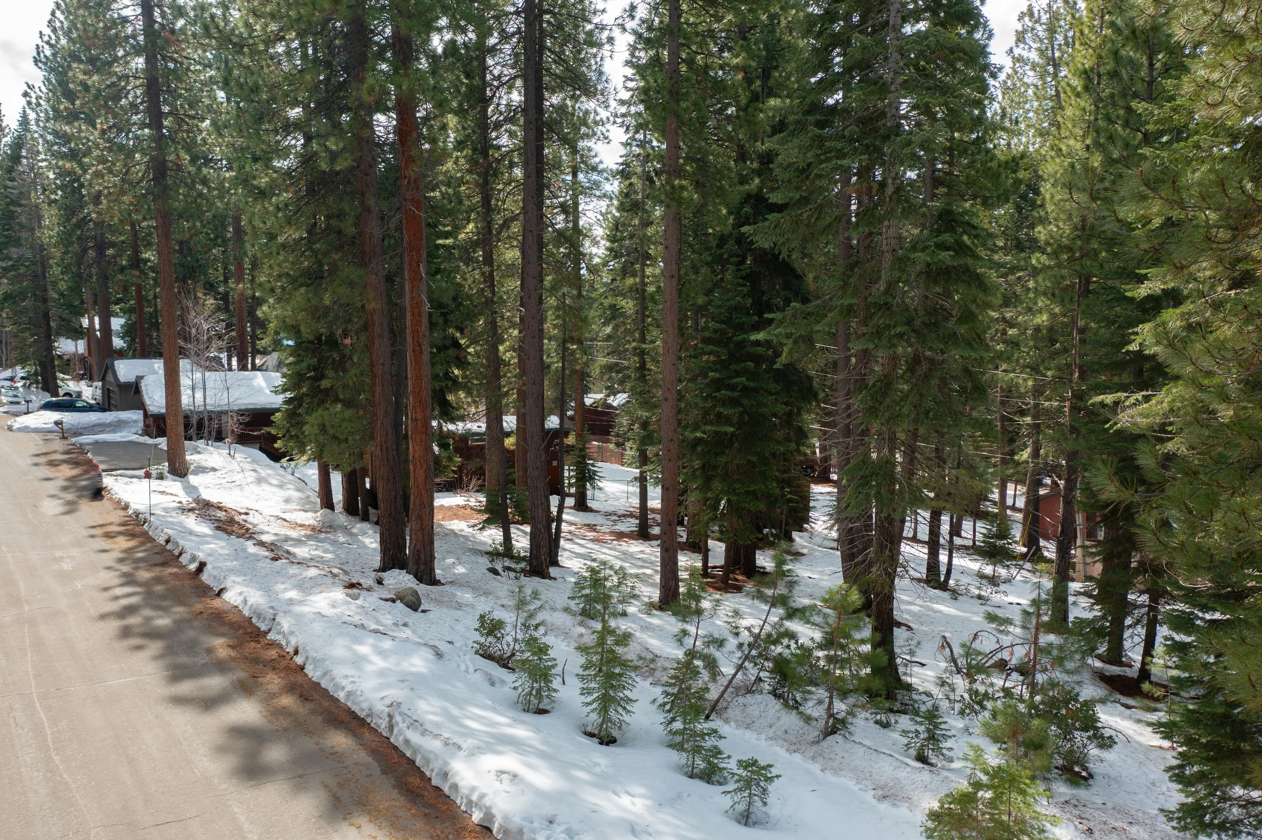 DJI_0491.jpg