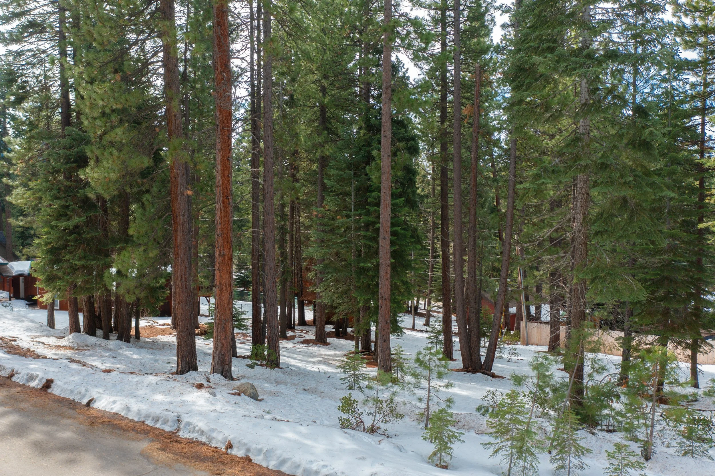 DJI_0488.jpg