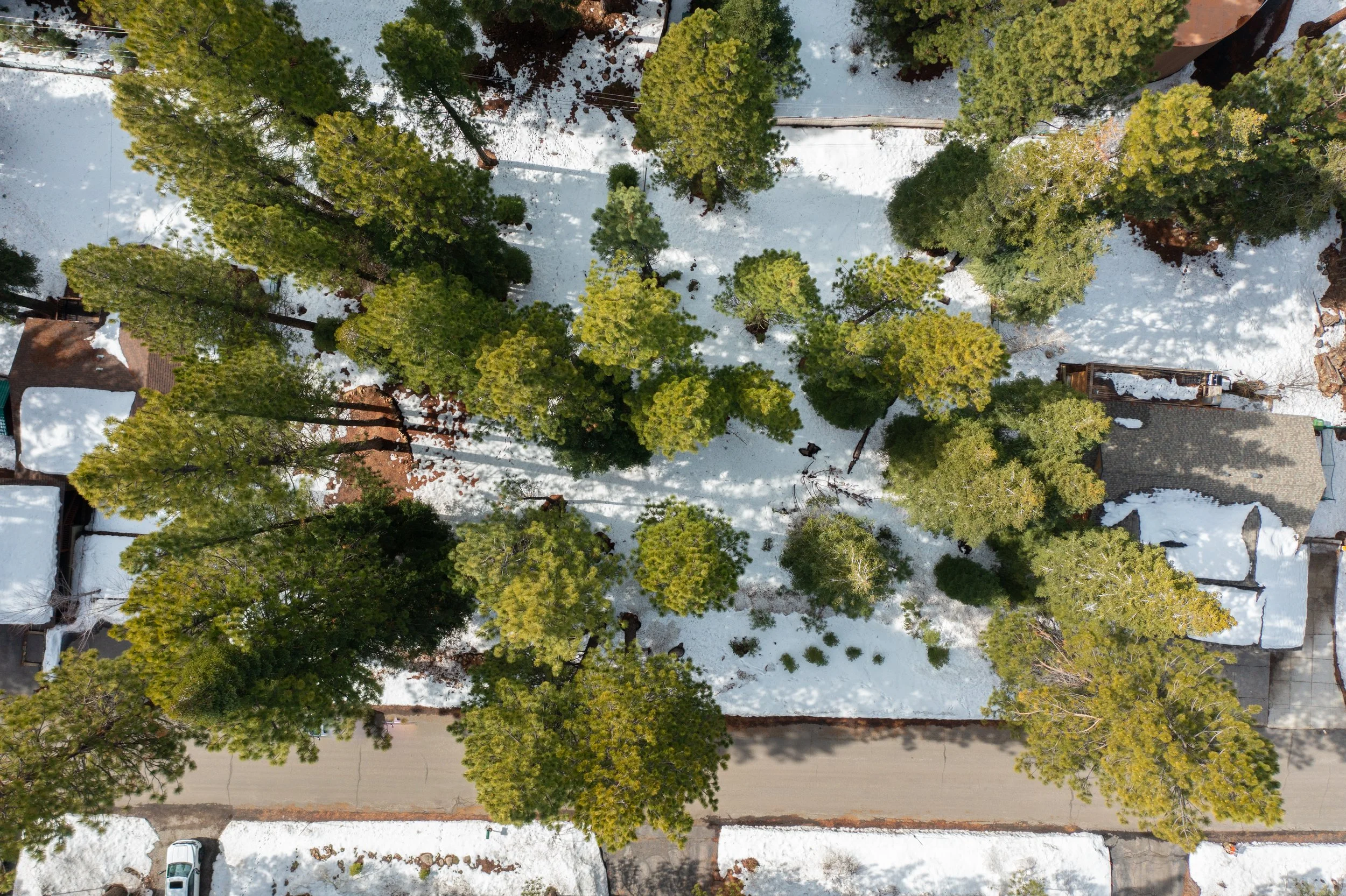 DJI_0506.jpg