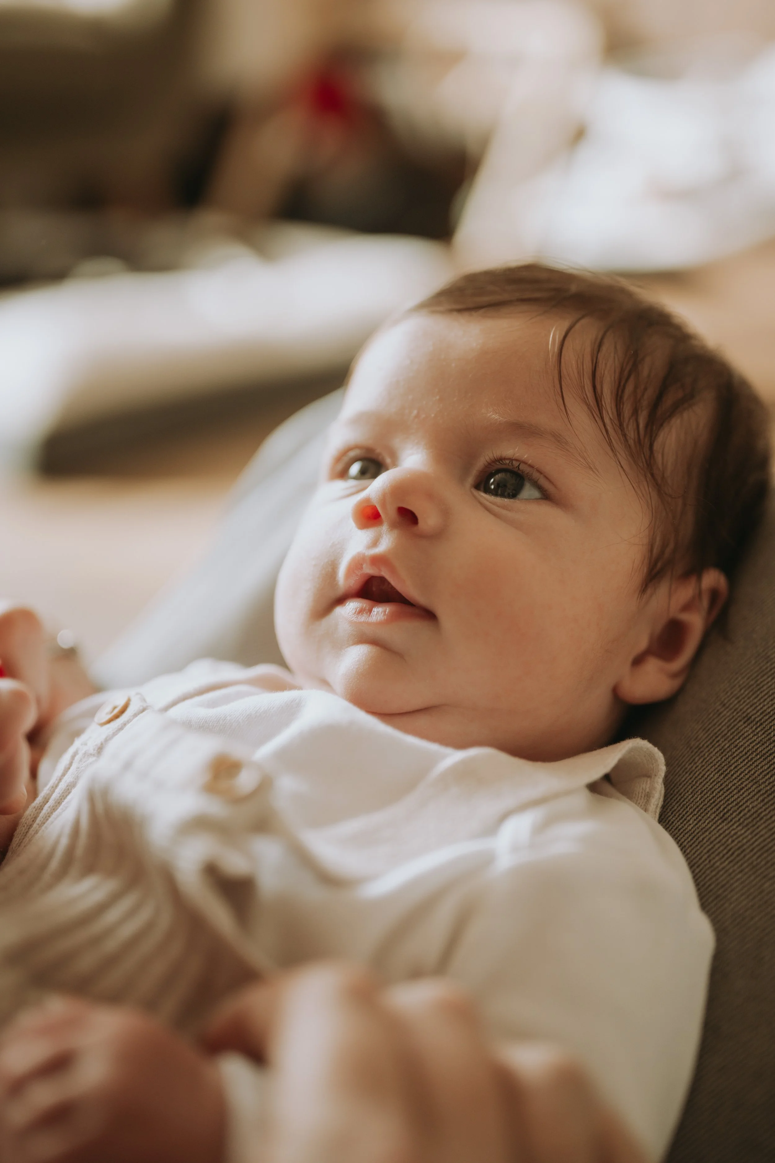 olive website-6.jpg