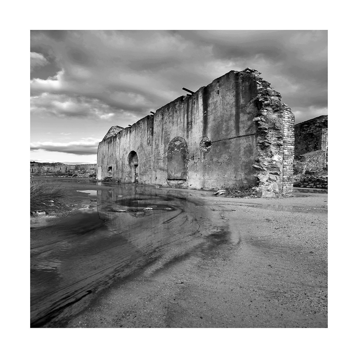 _MUS6598-copia.jpg
