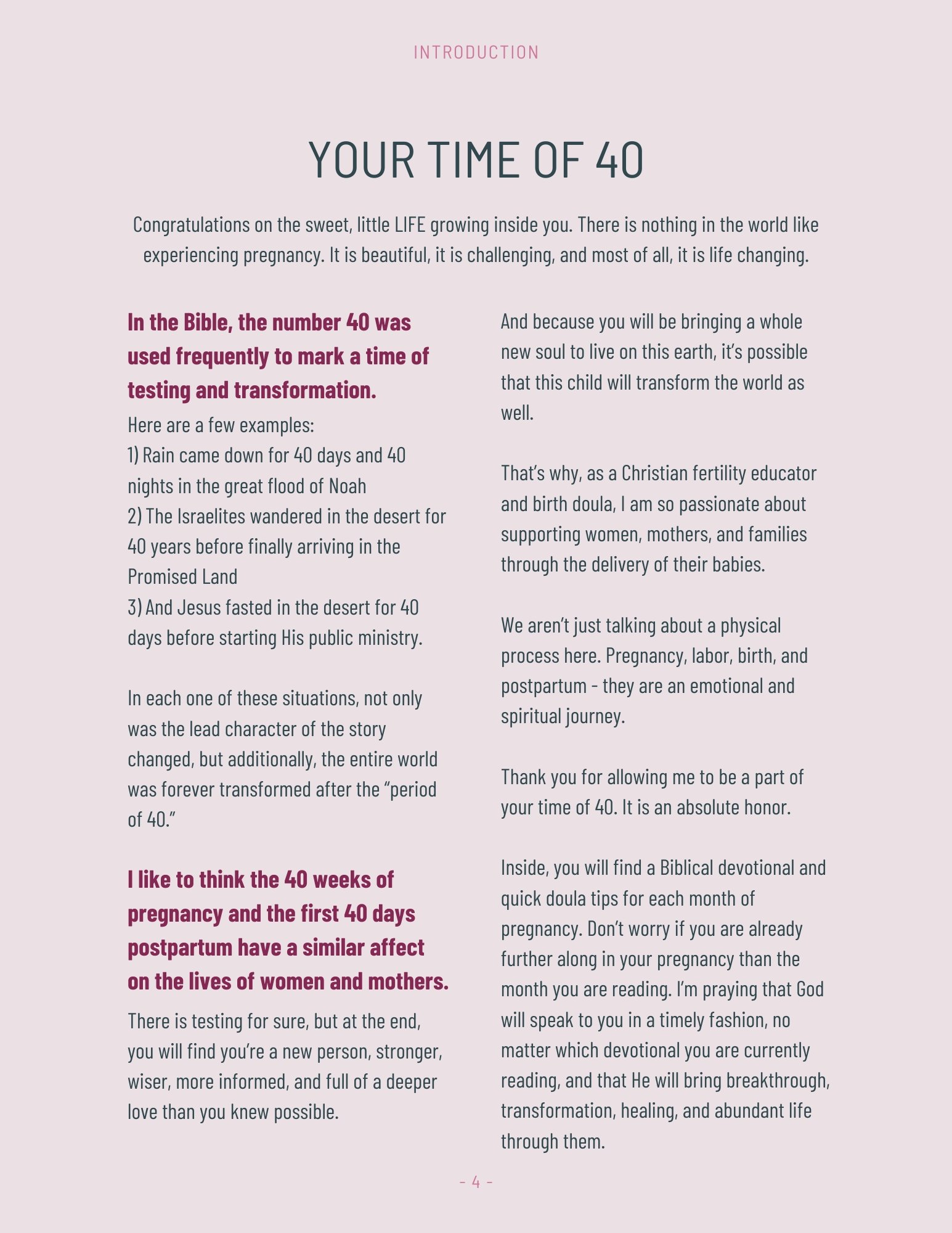 Intro to Pregnancy Devo Digital Download.jpg
