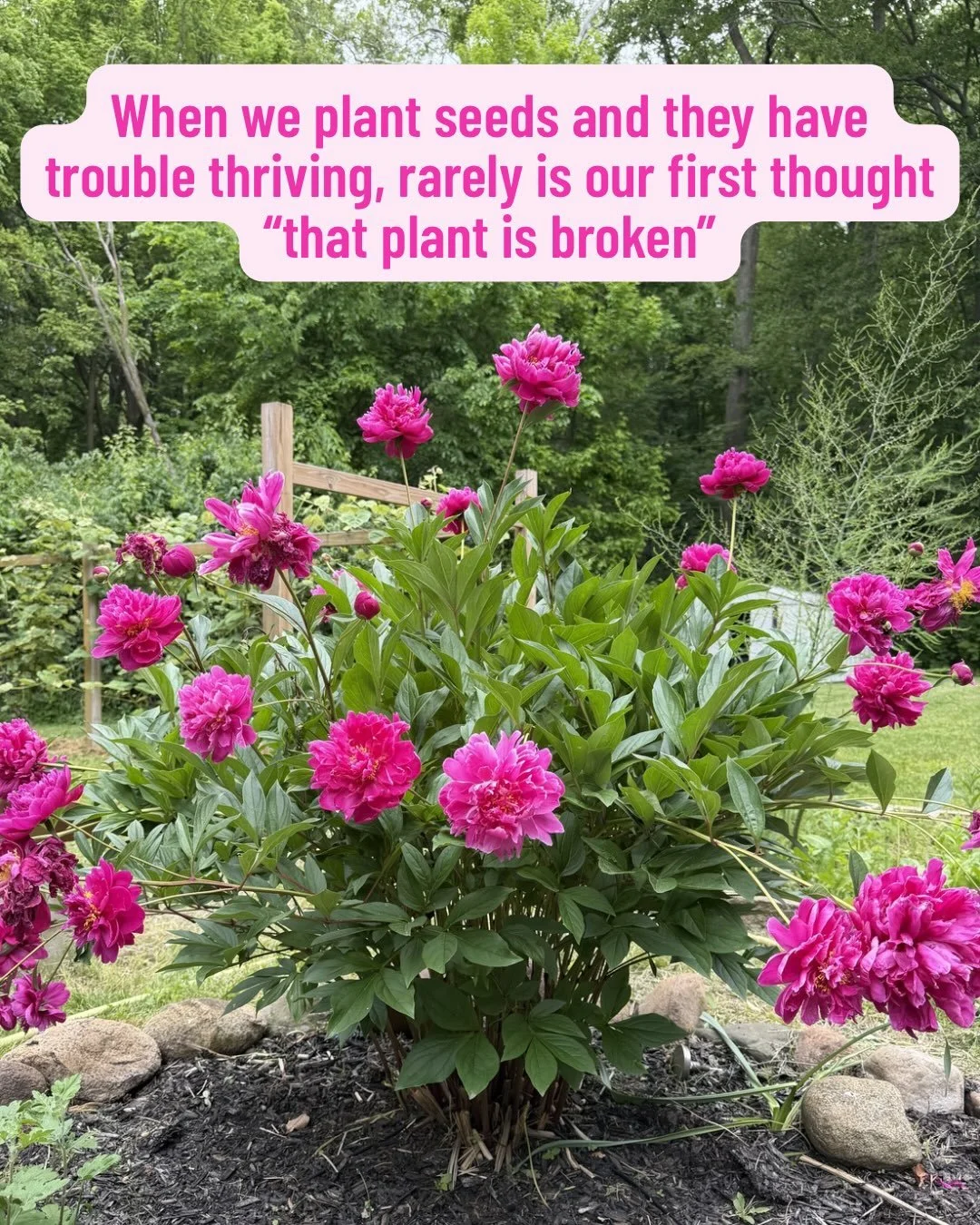 If your period, fertility, or birth is giving you grief, I invite you to think about it this way&hellip;