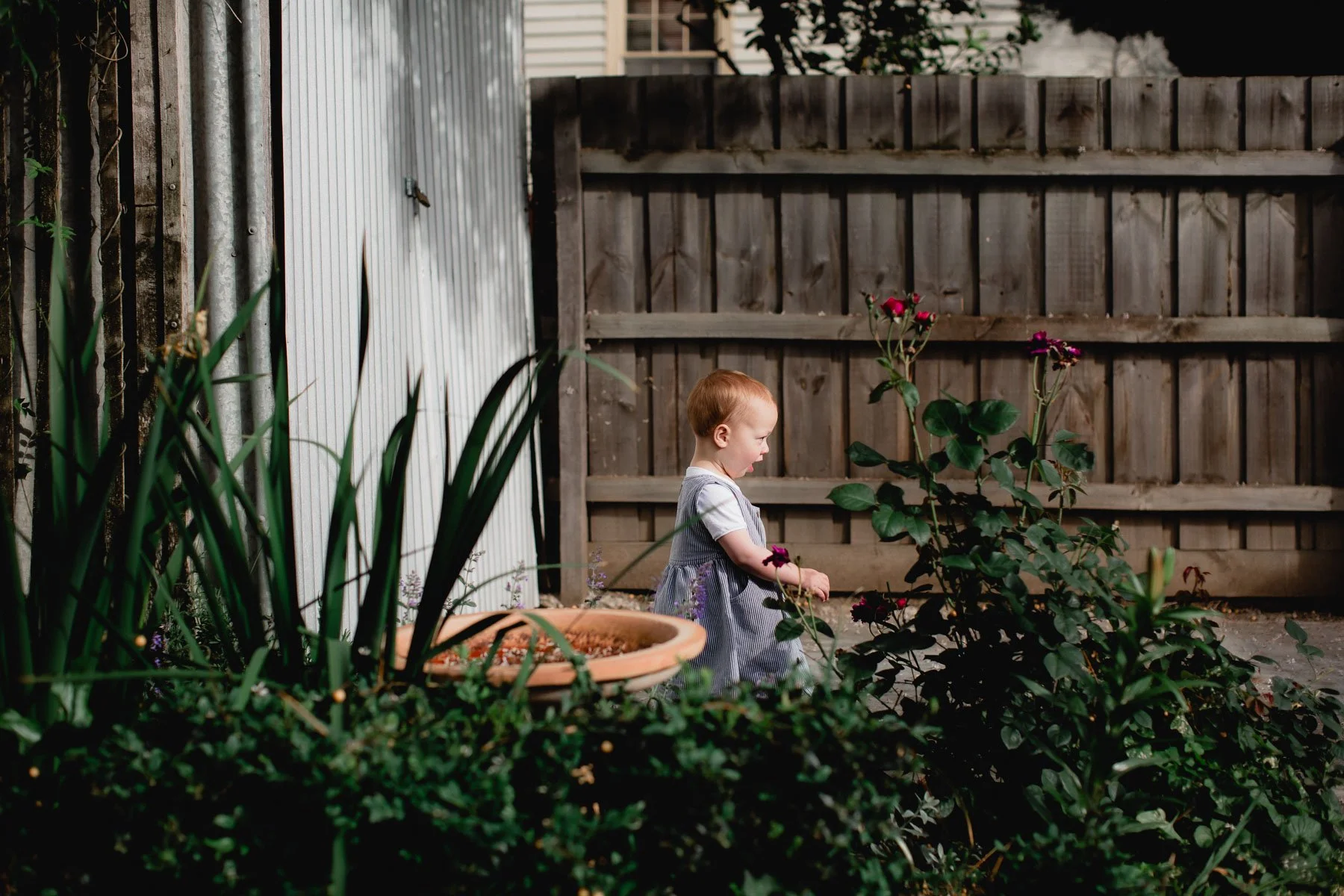 photography sessions at home with kids bendigo-14.jpg