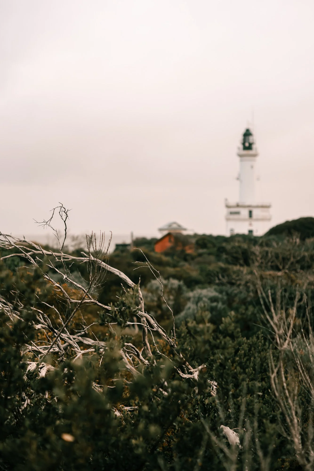 Point Lonsdale Lighthouse-1.jpg