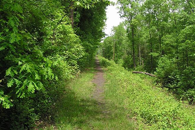 trolley line trail.jpeg