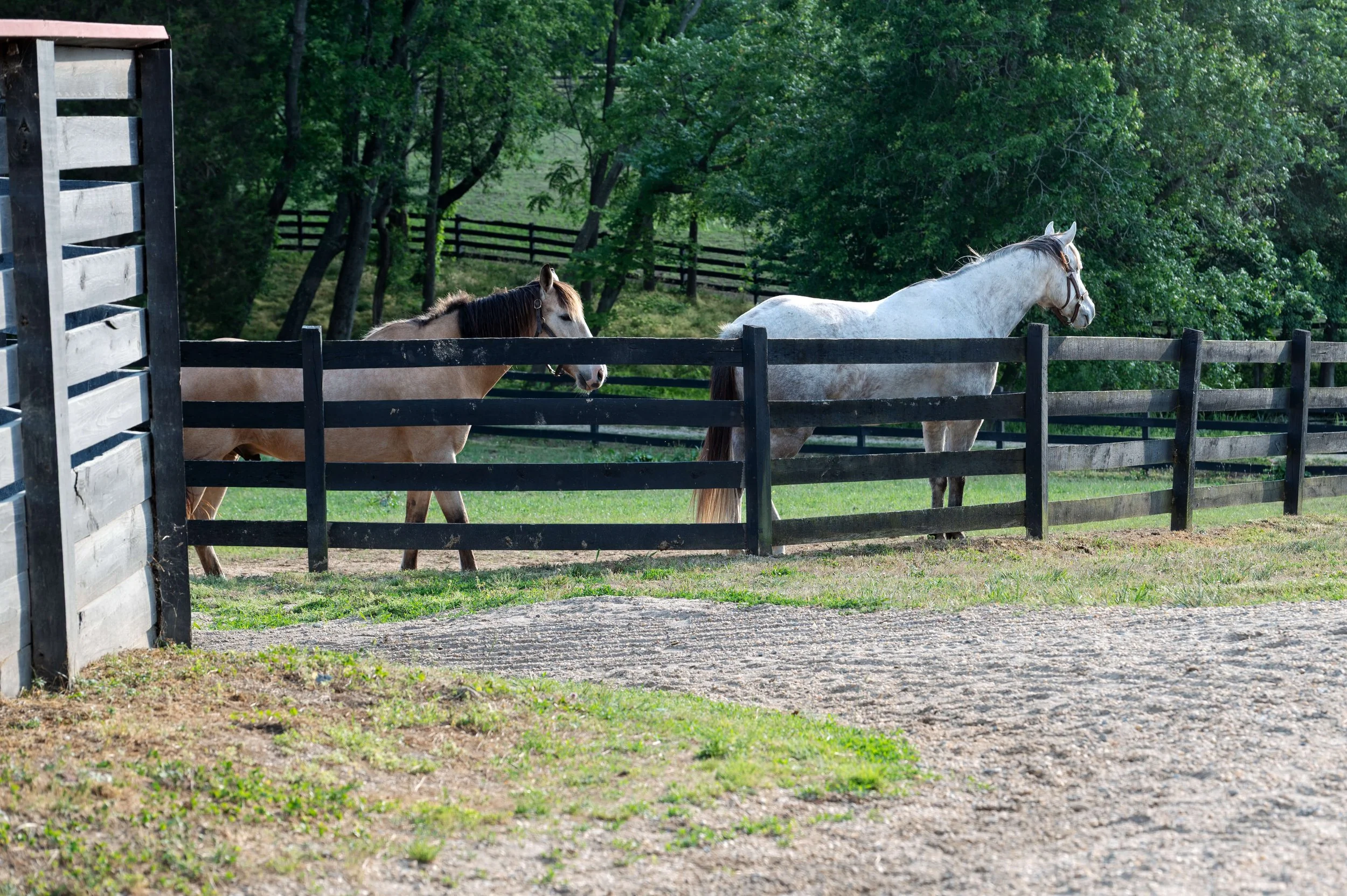 DSC_3626e.jpg