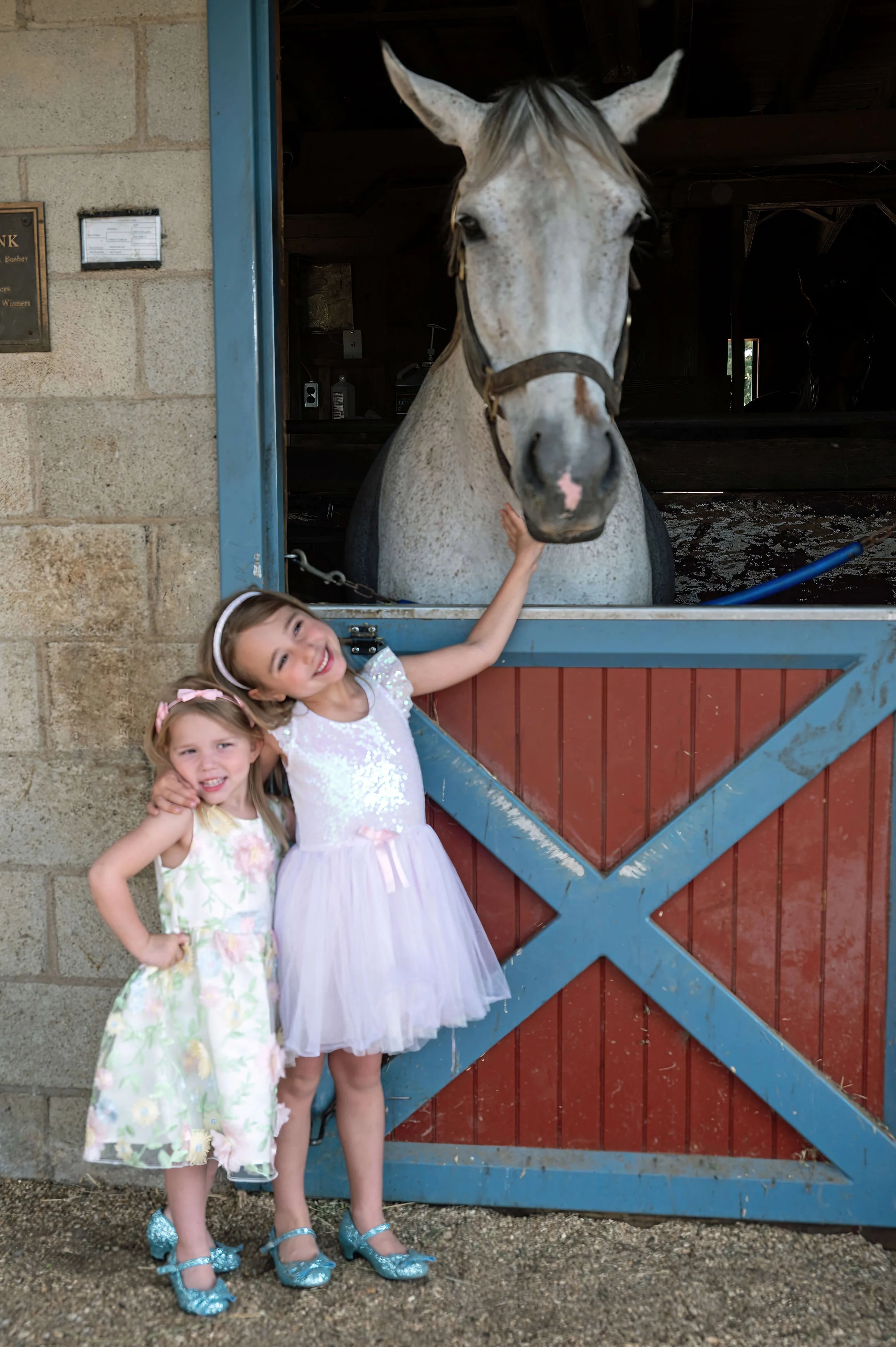 DSC_3608e-S-M.jpg