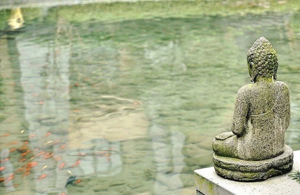 buddha statue next to clear pond with goldfish