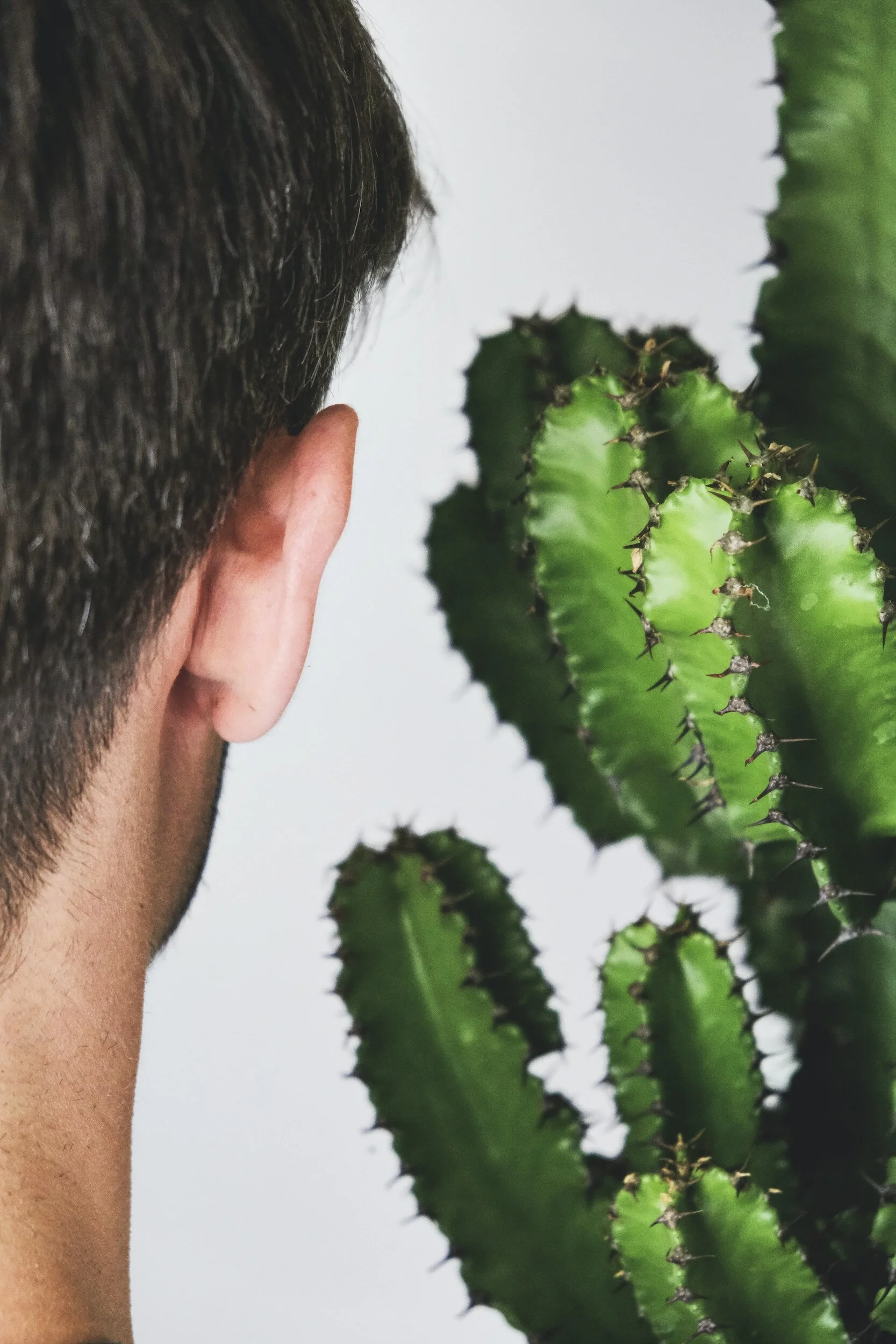 persons ear up close to a cactus