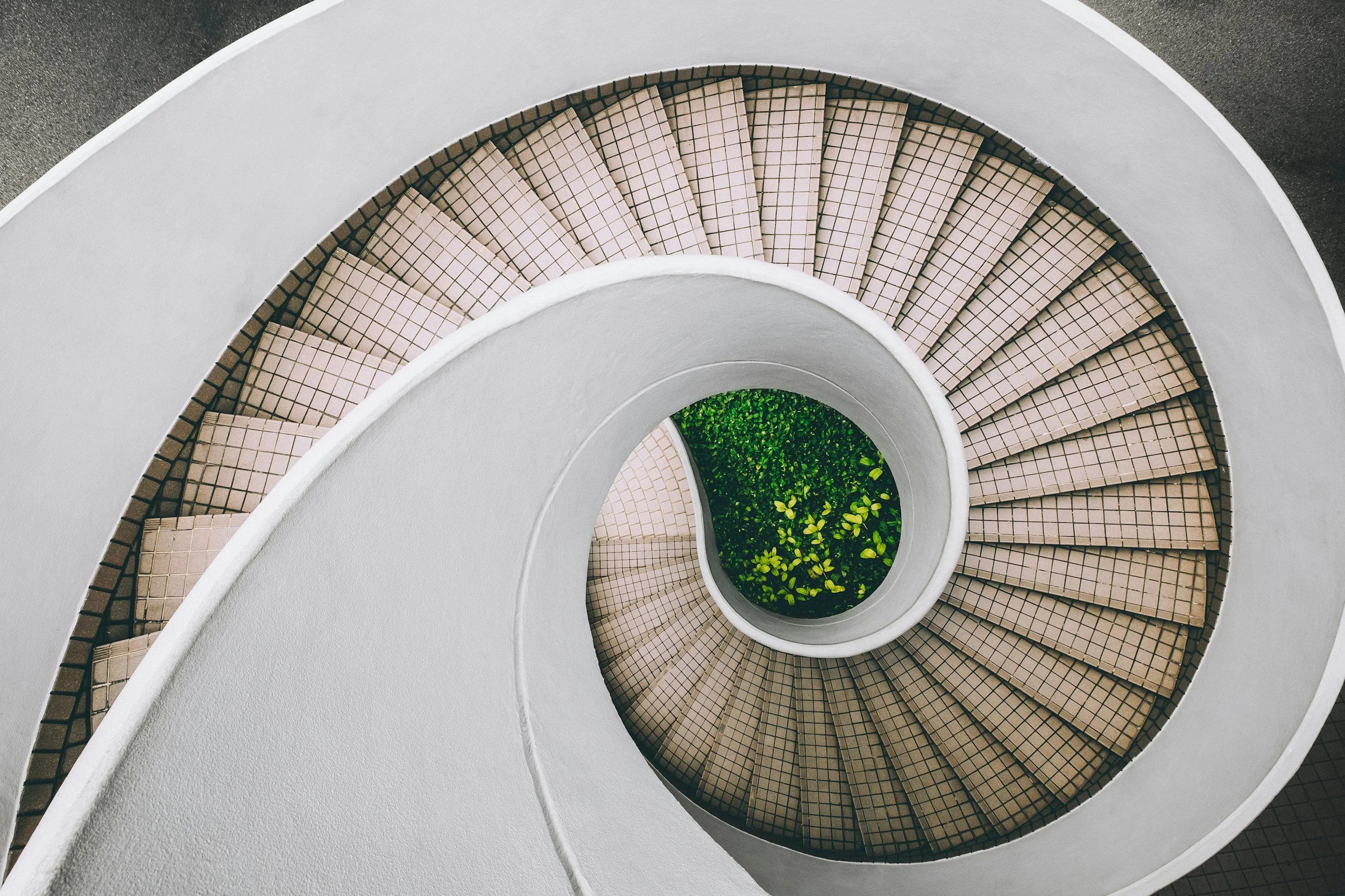 white spiral stairway with lush greenery at the center at the bottom
