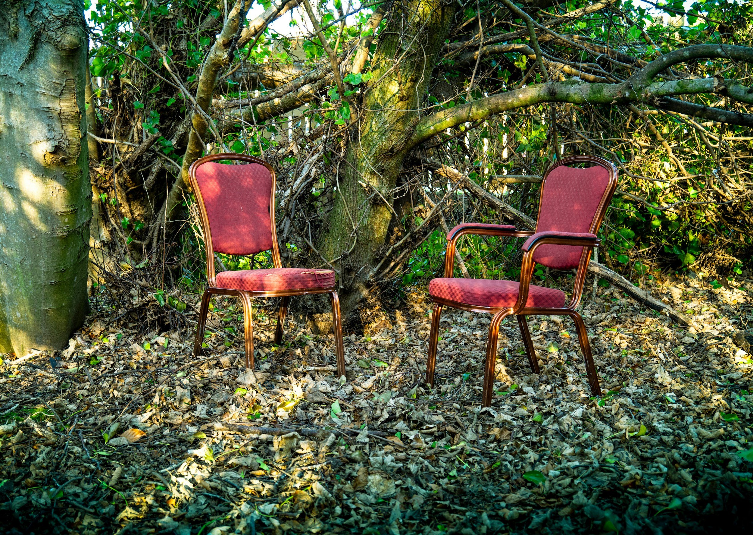 red chairs in a sunlight wood, facing each other