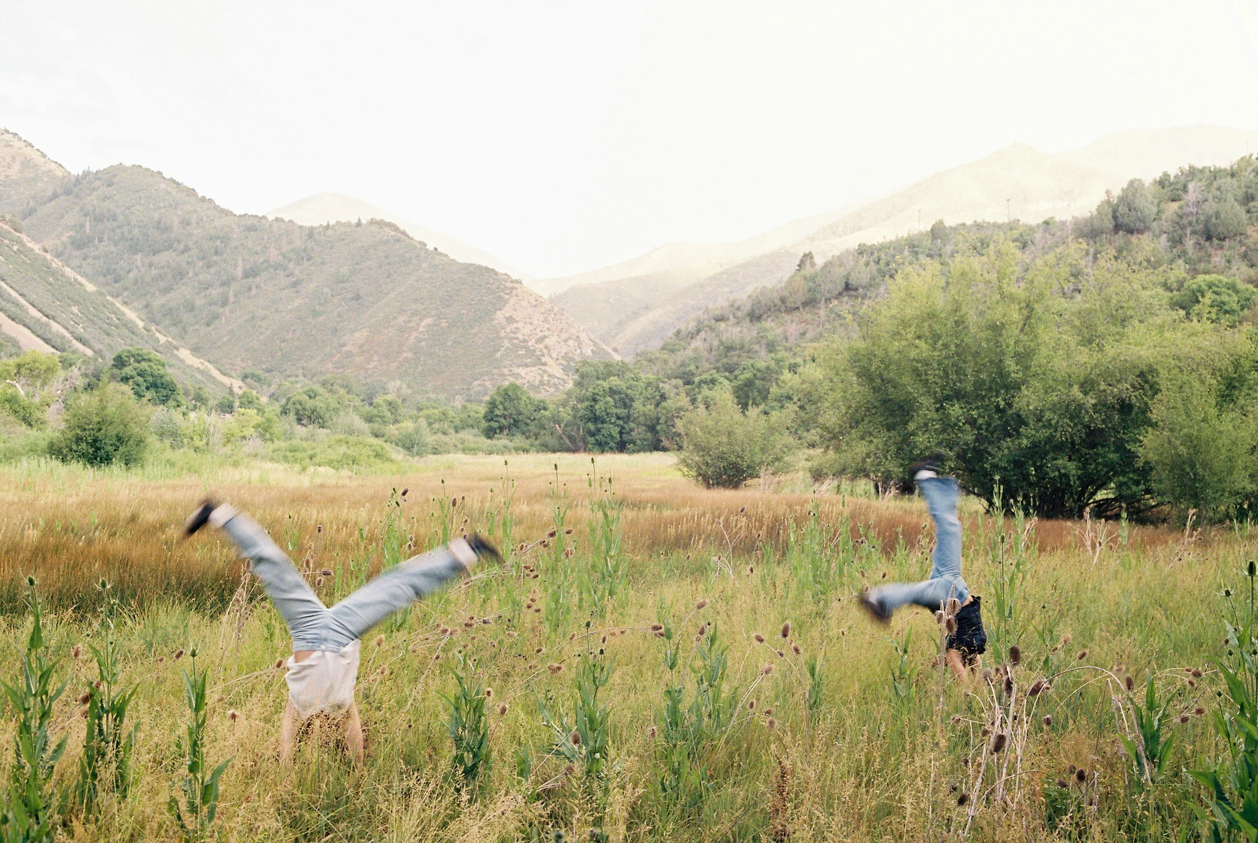 person doing a cartwheel in meadow