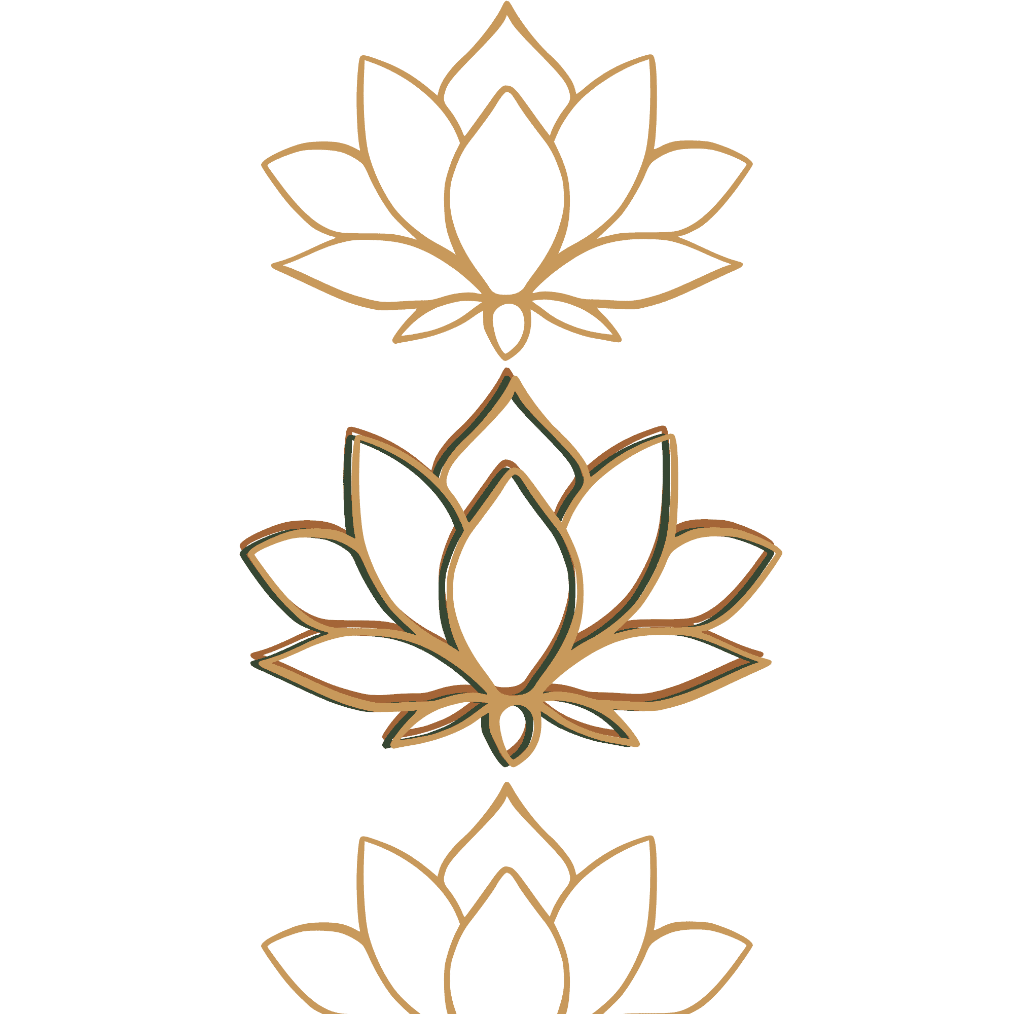 Lotus flower graphic
