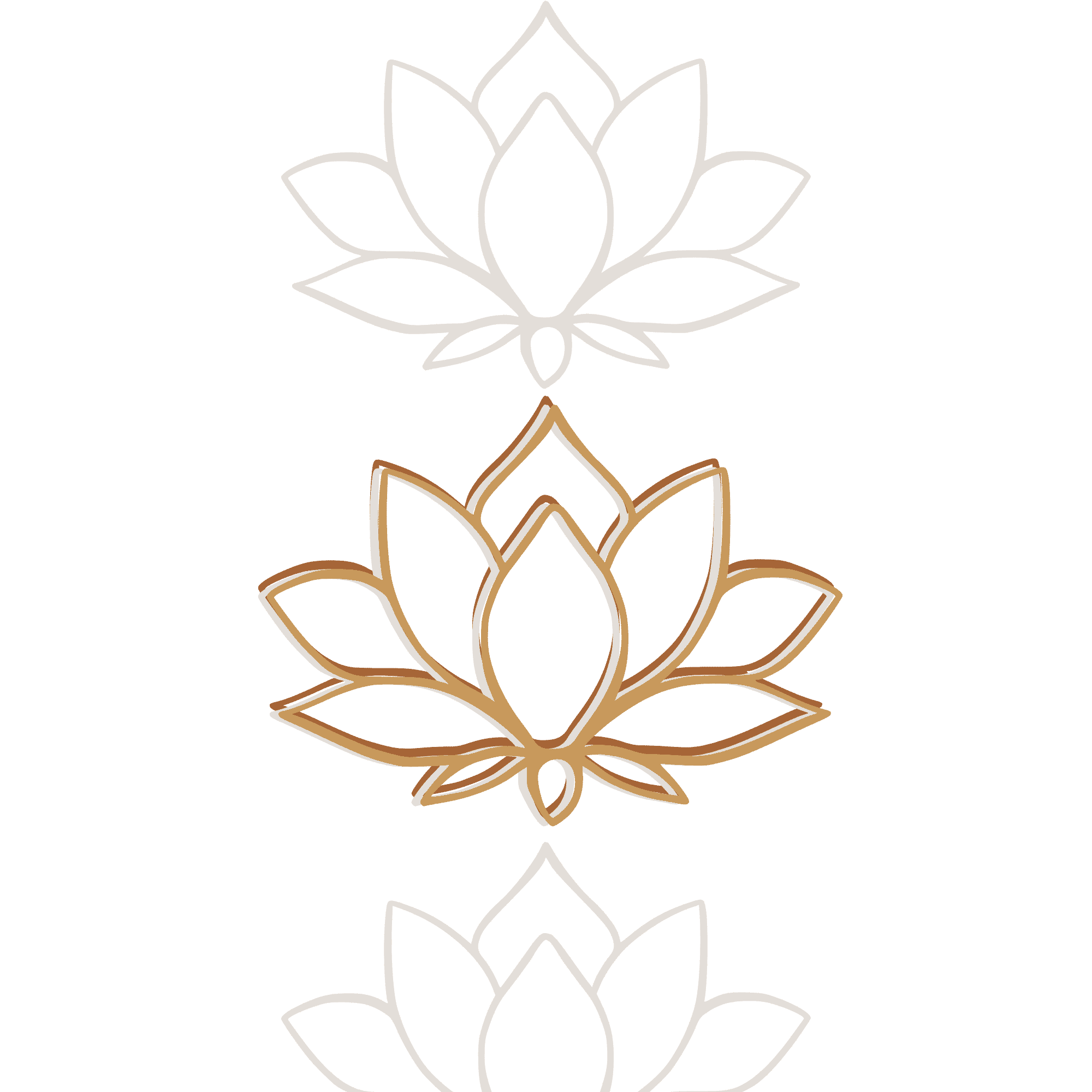 Lotus flowers