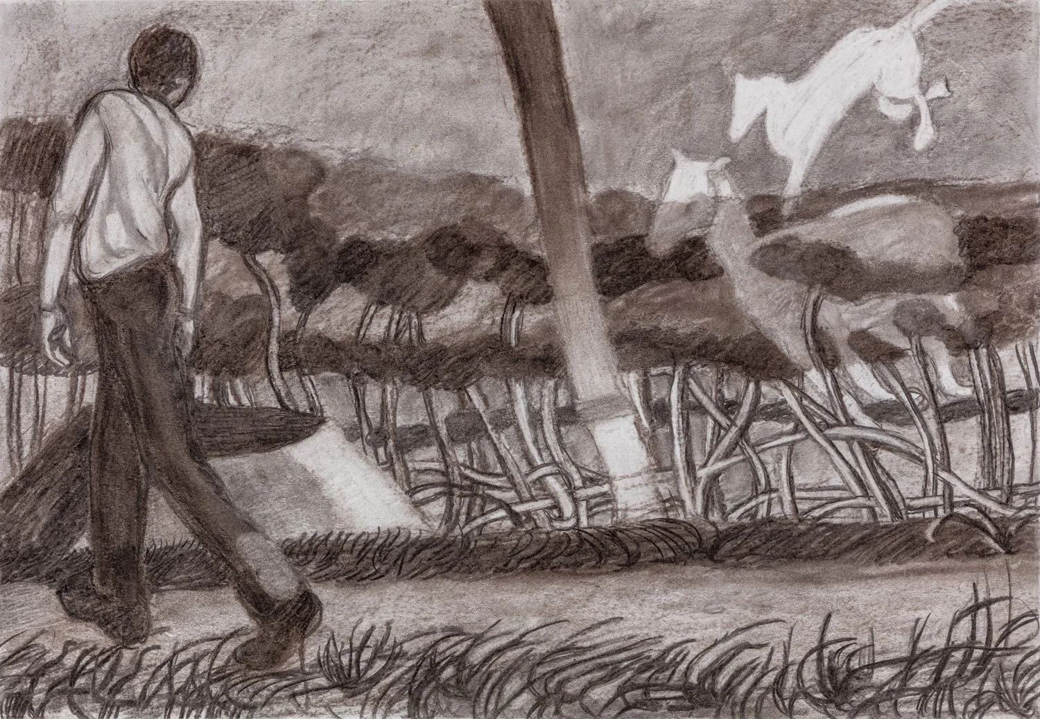 Daisy Nutting-0853.jpg