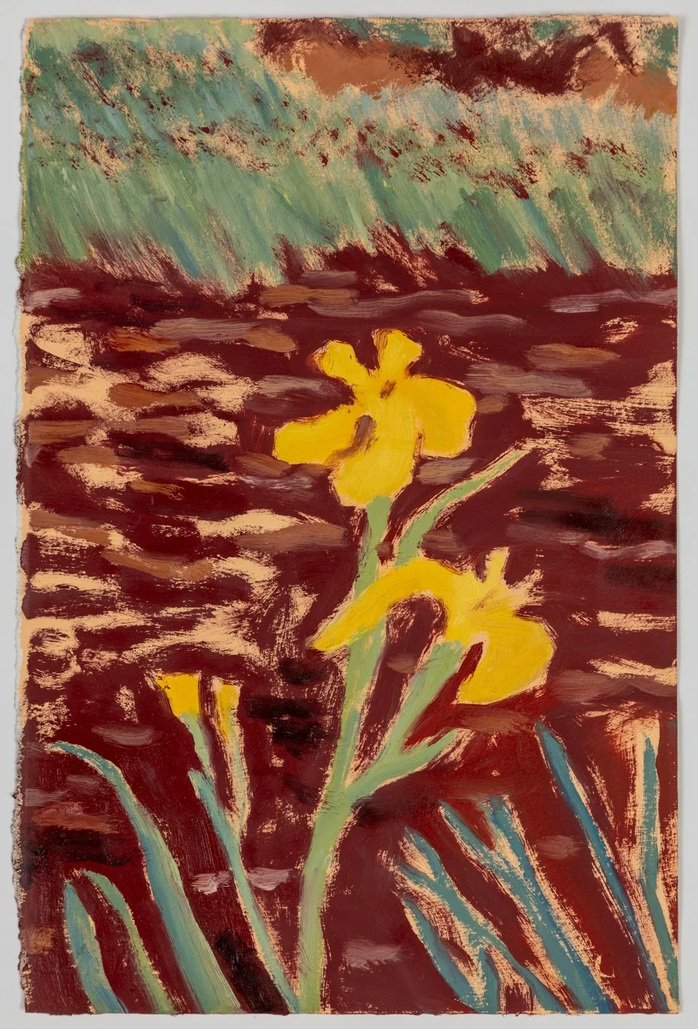 Sammi Lynch-0864.jpg