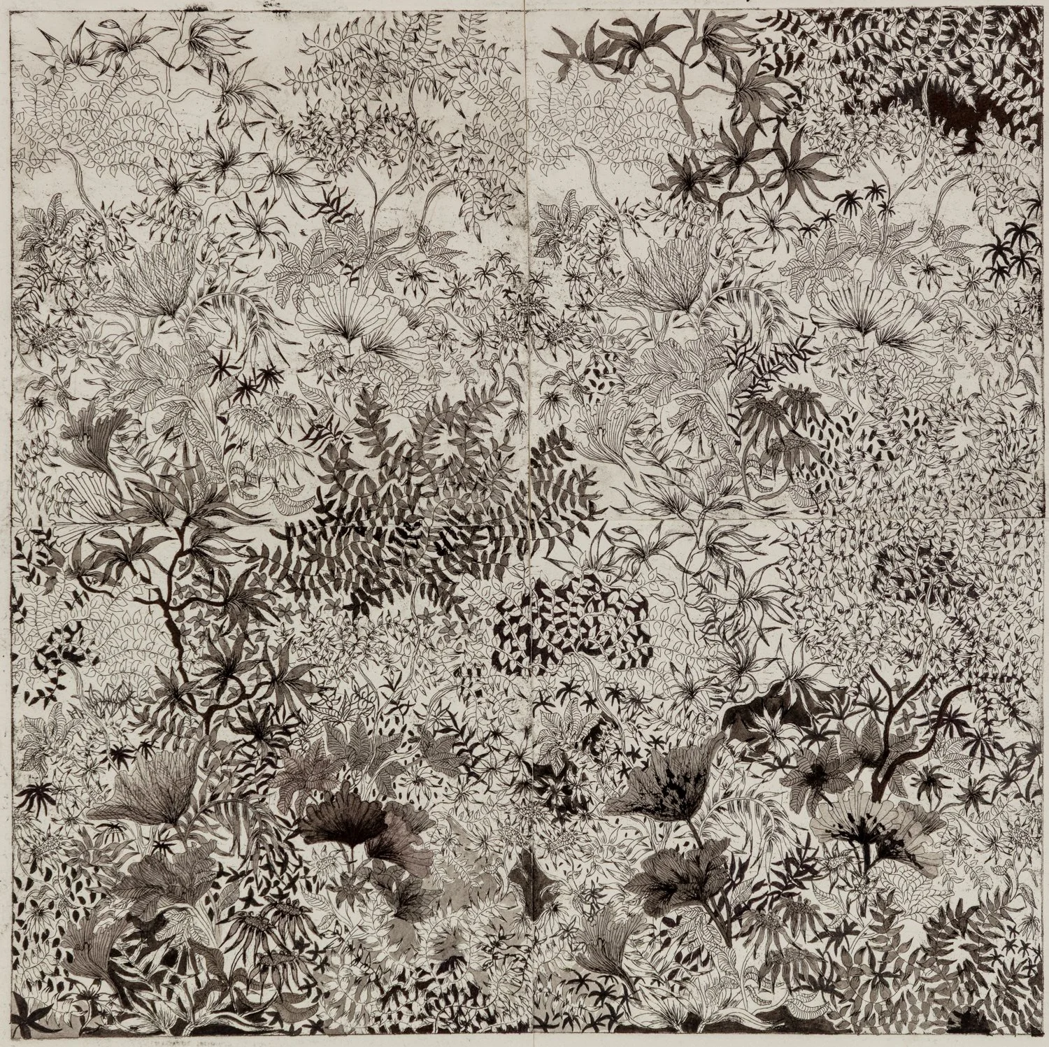 Camile Lewis-0883.jpg