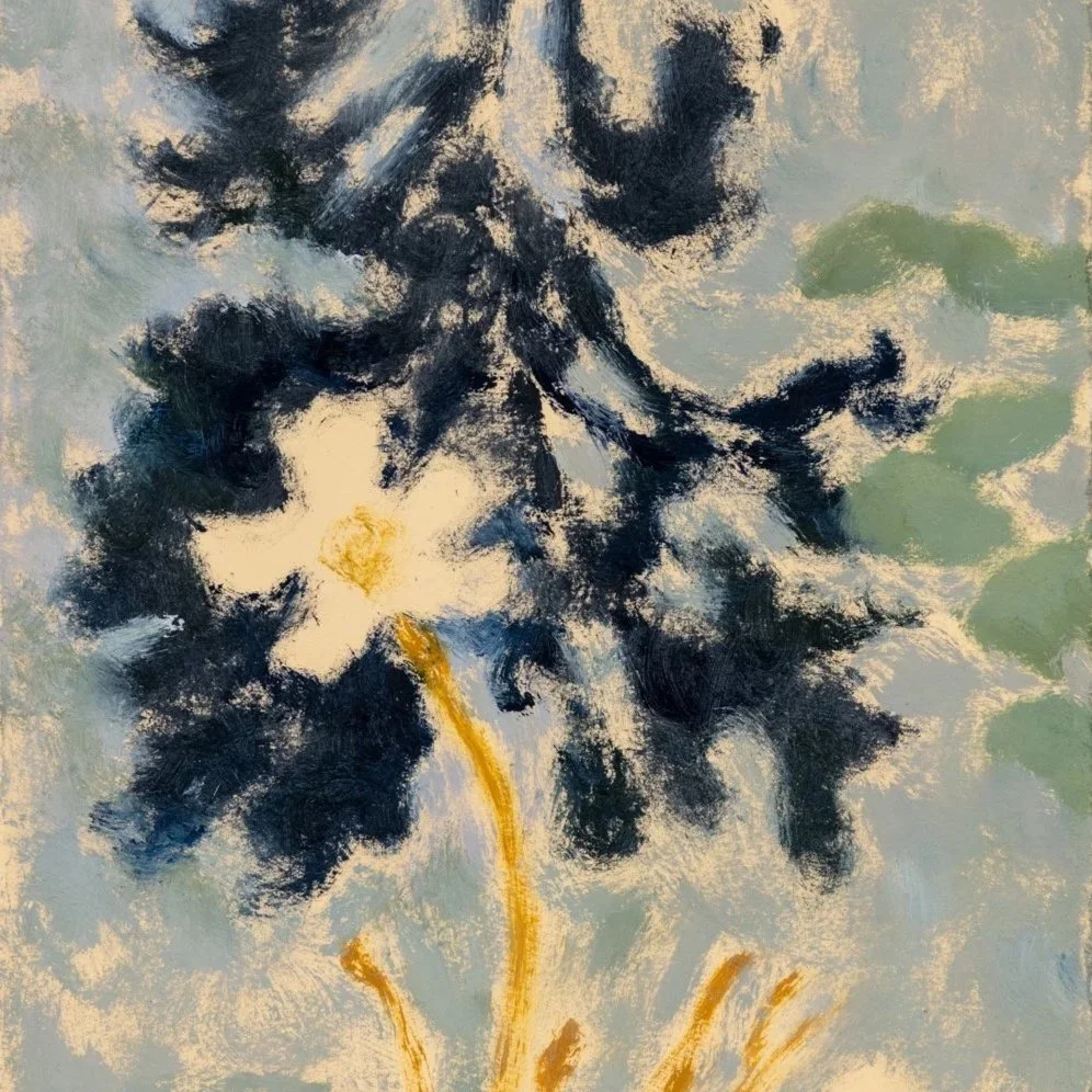 Flowers and Reflections | Sammi Lynch