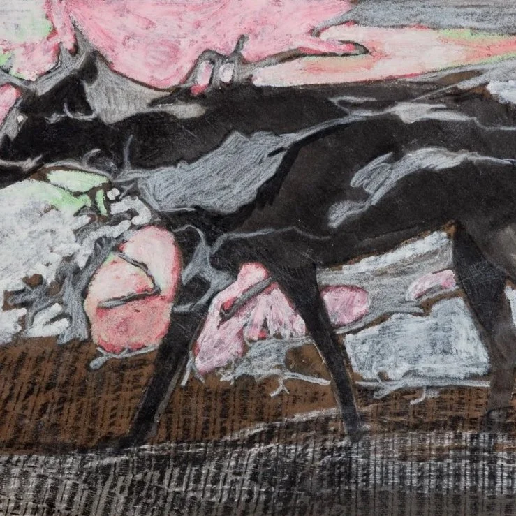 Study III | Hira Gedikoglu