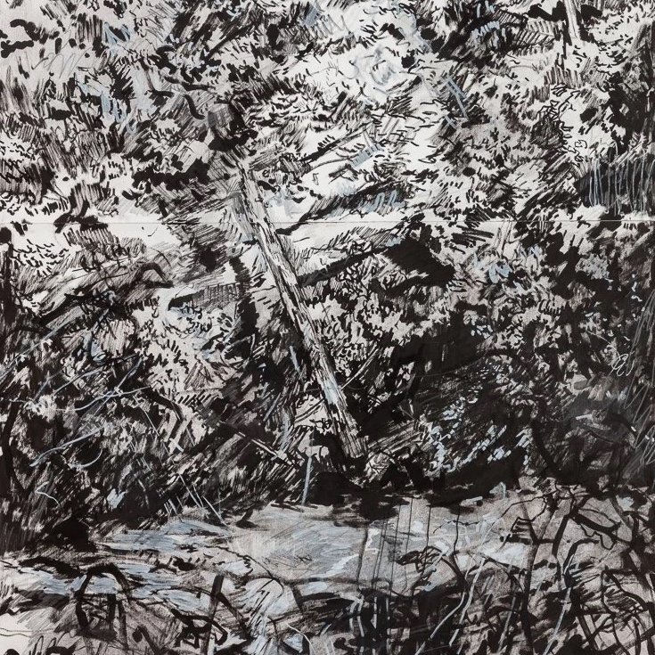 New Light | Fraser Scarfe