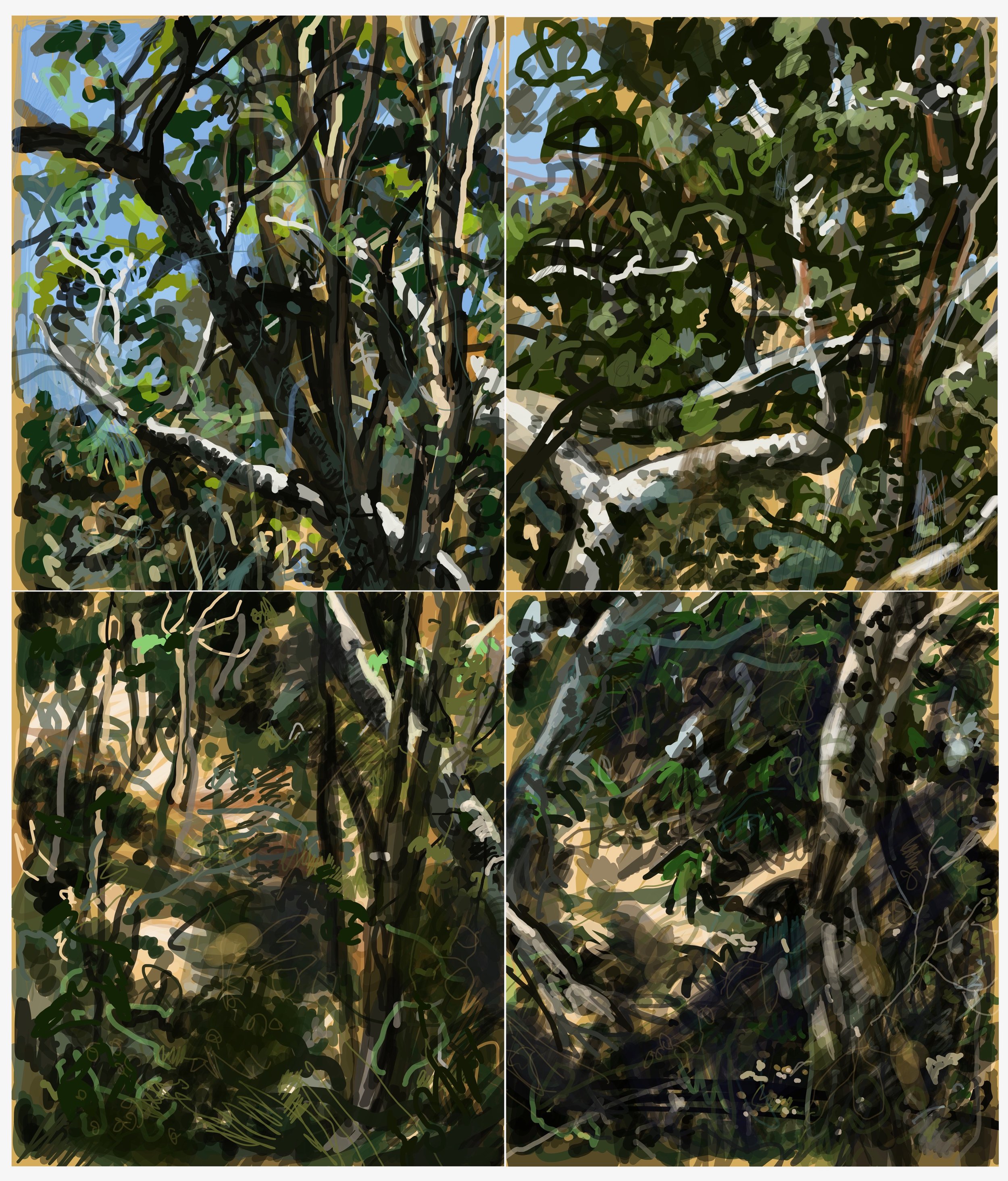 Greek Trees | Fraser Scarfe