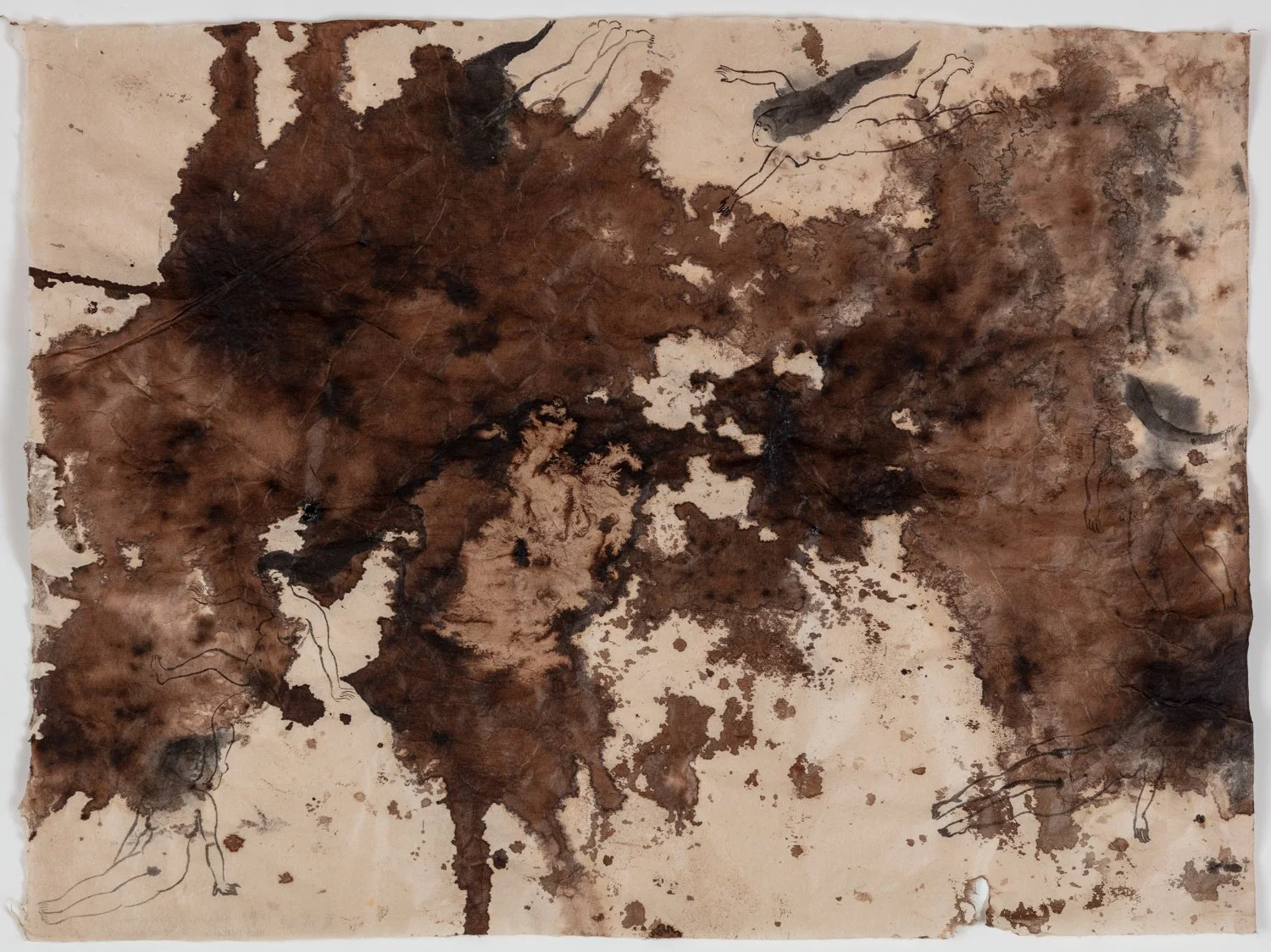 Chengwei Xia-0900.jpg