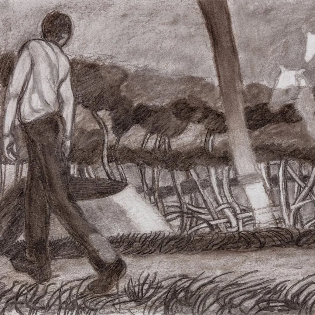 Gallop Sound | Daisy Nutting