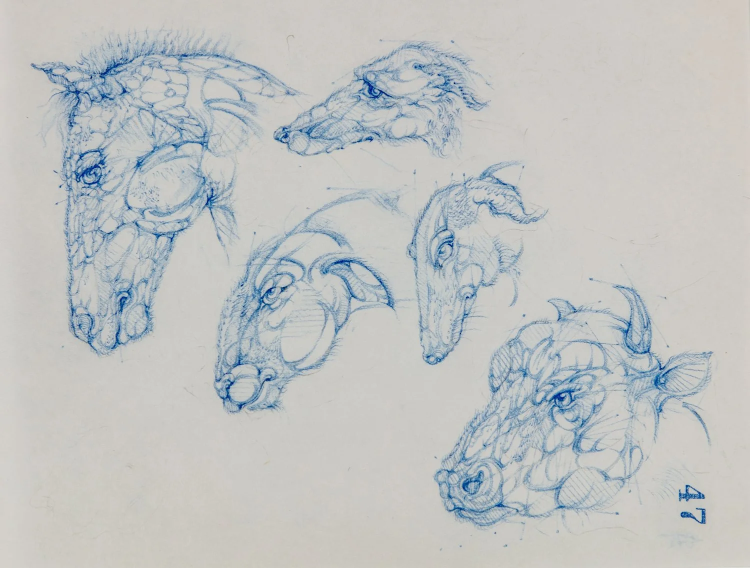 Study of Horse, Sheep, Dog and Cow | Gabriela Adach
