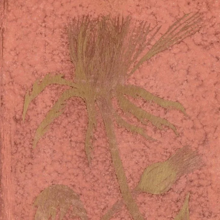 Study | Alicja Biala