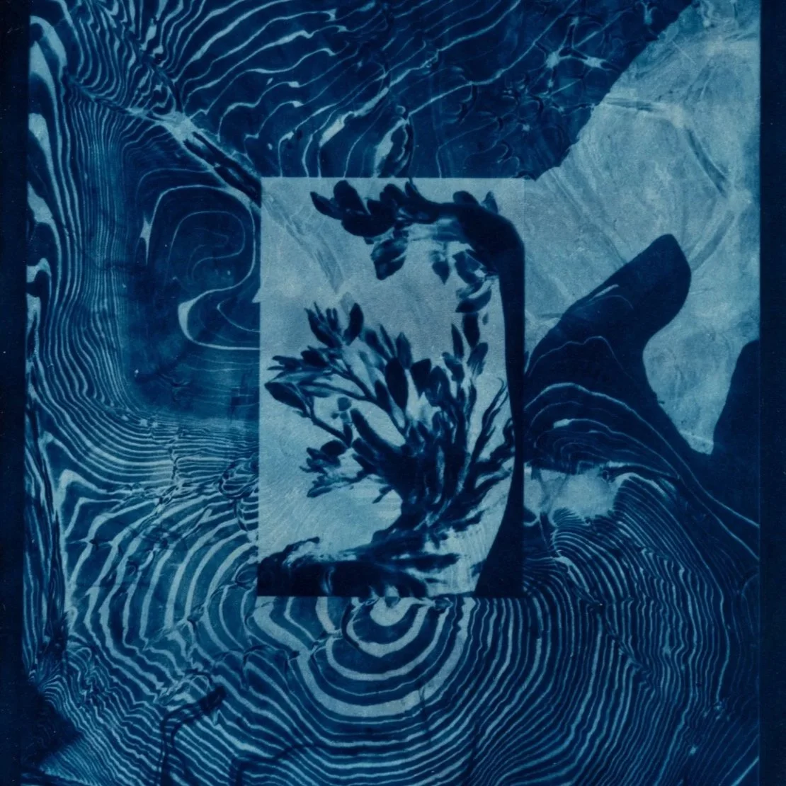 Metamorphosis of Daphne (after Bernini), III | Stephanie Forrest