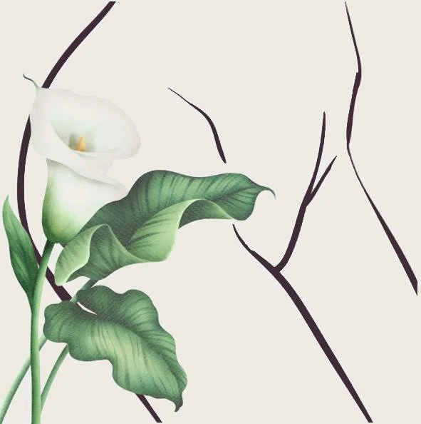 Lily