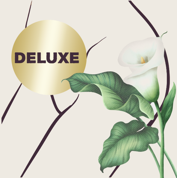 Super Deluxe