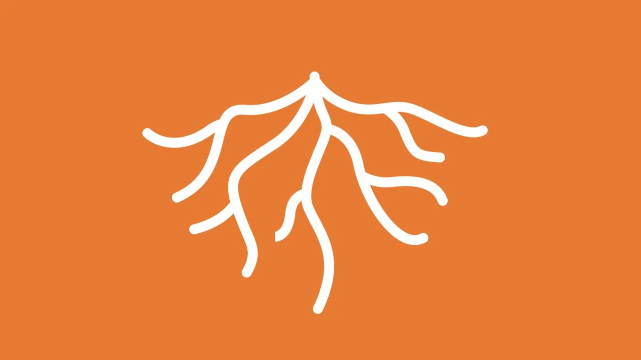 Dit is geen truc voor oprechtheid