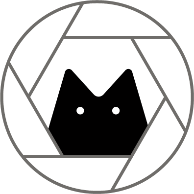mattecat_logo-01(1) (1).png
