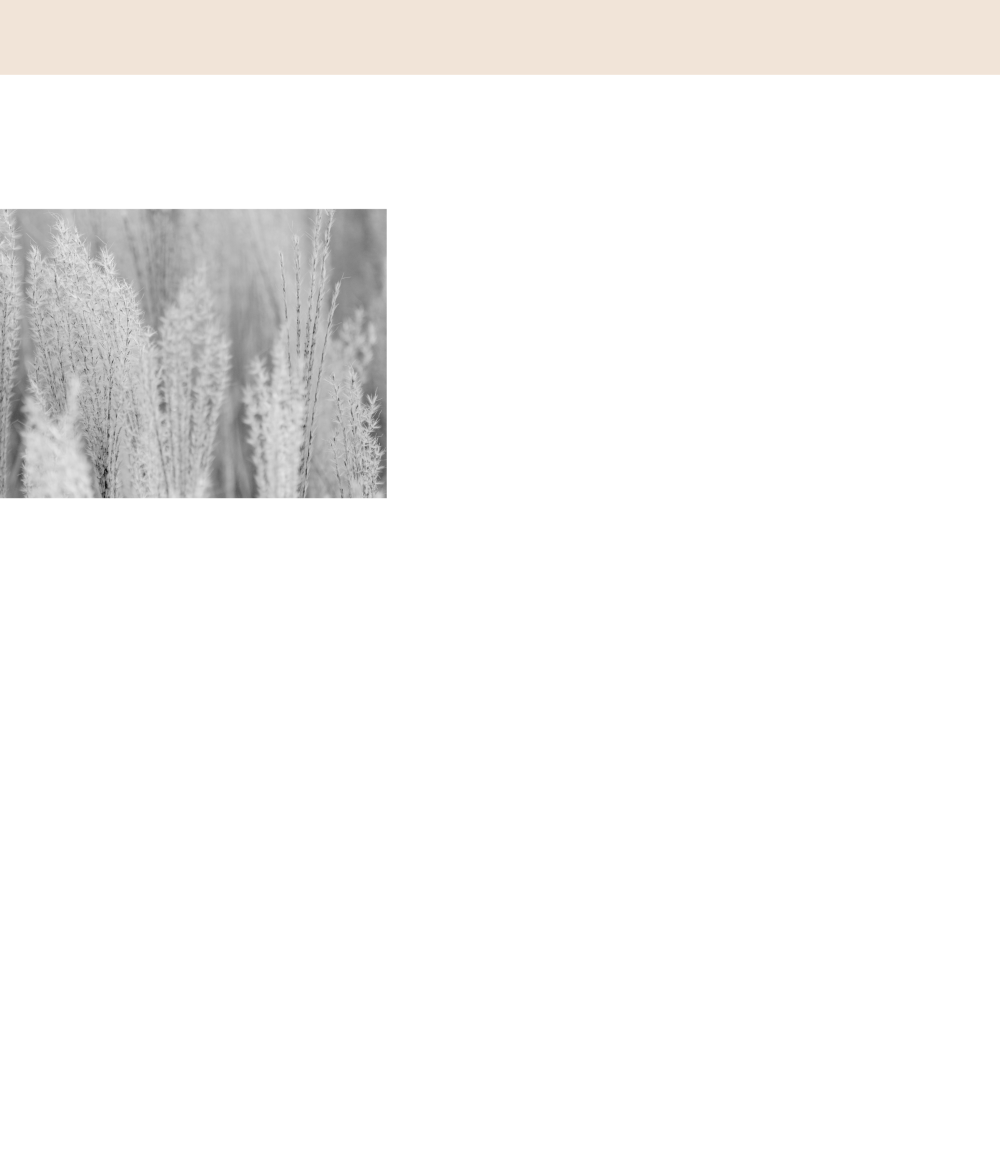 Constanze Dostal_Psychologist and Coach_Background beige top.png